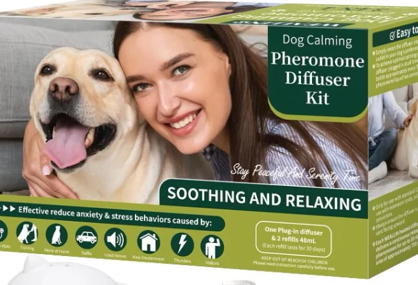 Best Calming Products for Pets With Anxiety Issues