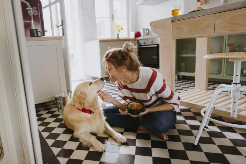 How to Choose a Reliable Pet Sitter or Boarding Facility — Expert Tips for Pet Owners