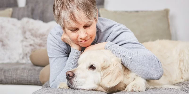 How to Help Pets Convalesce After Major Illness