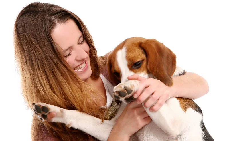 How to Build Confidence in Timid Dogs Step by Step