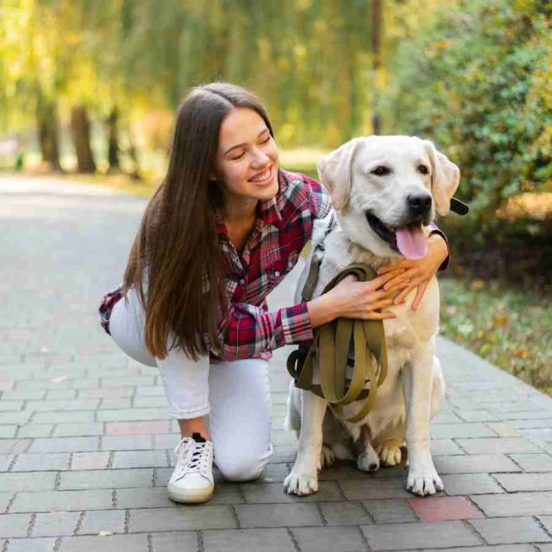 How to Spot Early Signs of Diabetes in Pets: What Every Pet Owner Should Know