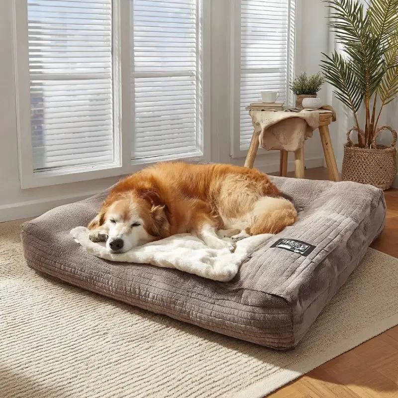 How to Choose the Right Bedding for Senior Dogs