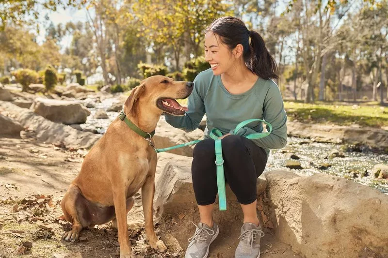 Best Ways to Keep Pets Safe During Outdoor Adventures