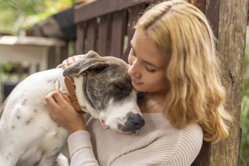 How to Help Pets With Anxiety Around Other Animals
