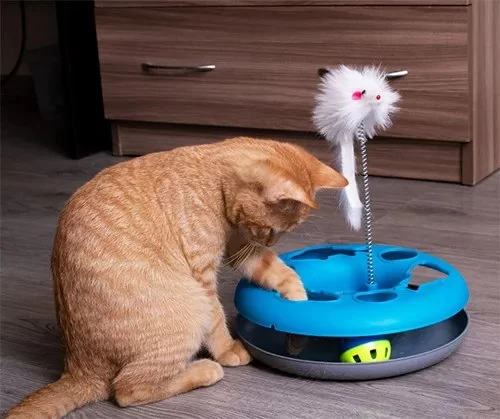 The Best Ways to Introduce New Toys to Your Cat – Tips and Tricks